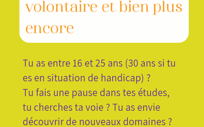 12-service civique decliic